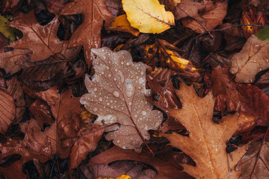 An Autumn Skincare Switch-Over